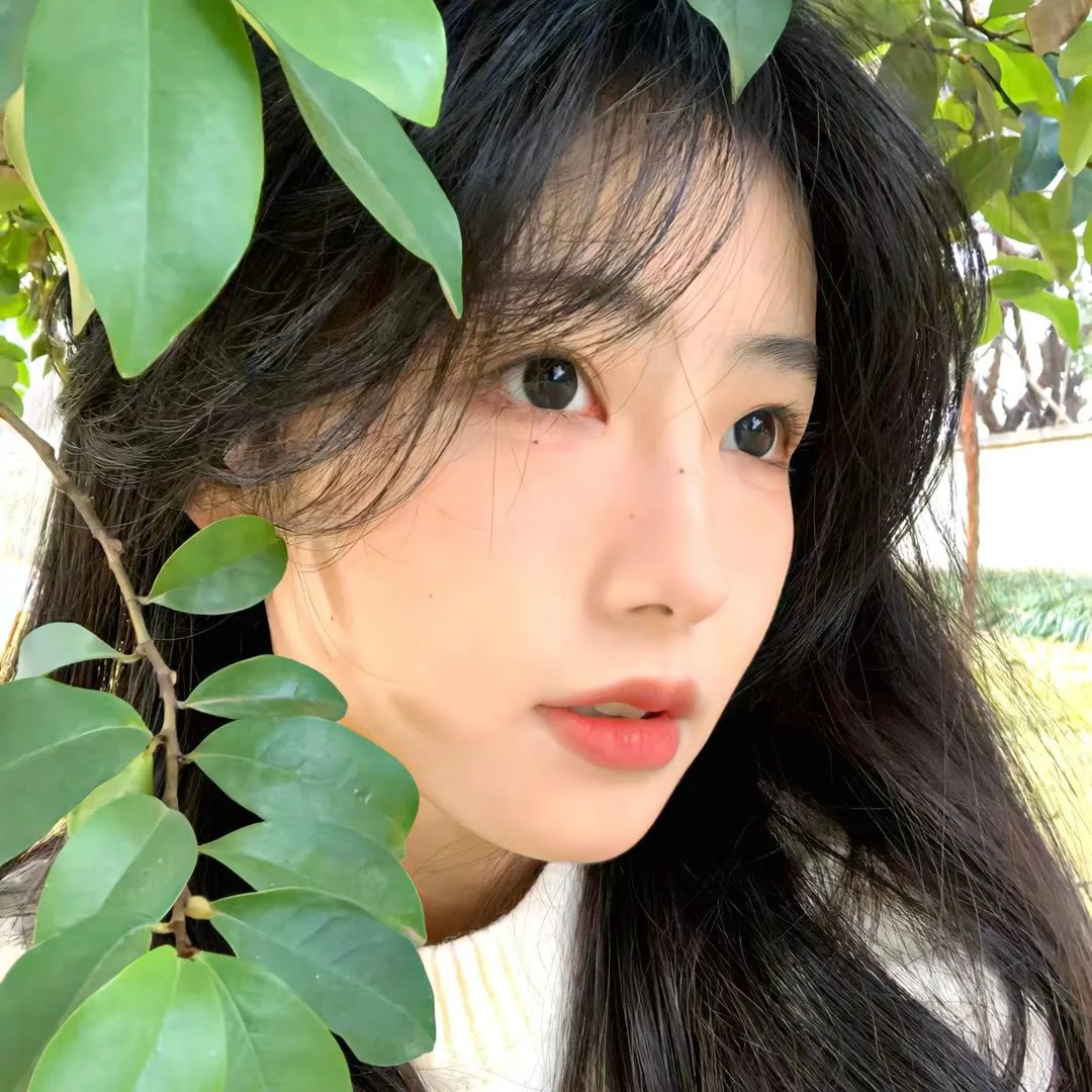 孤航