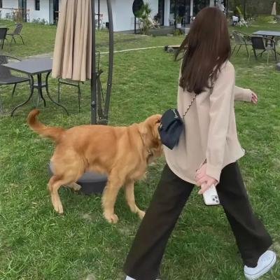 新变种人